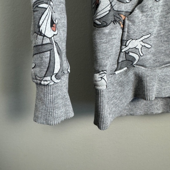 Looney Toons Kid's Bugs Bunny Long Sleeve Gray Pullover Hoodie Size XL (Kids) - Picture 2 of 11